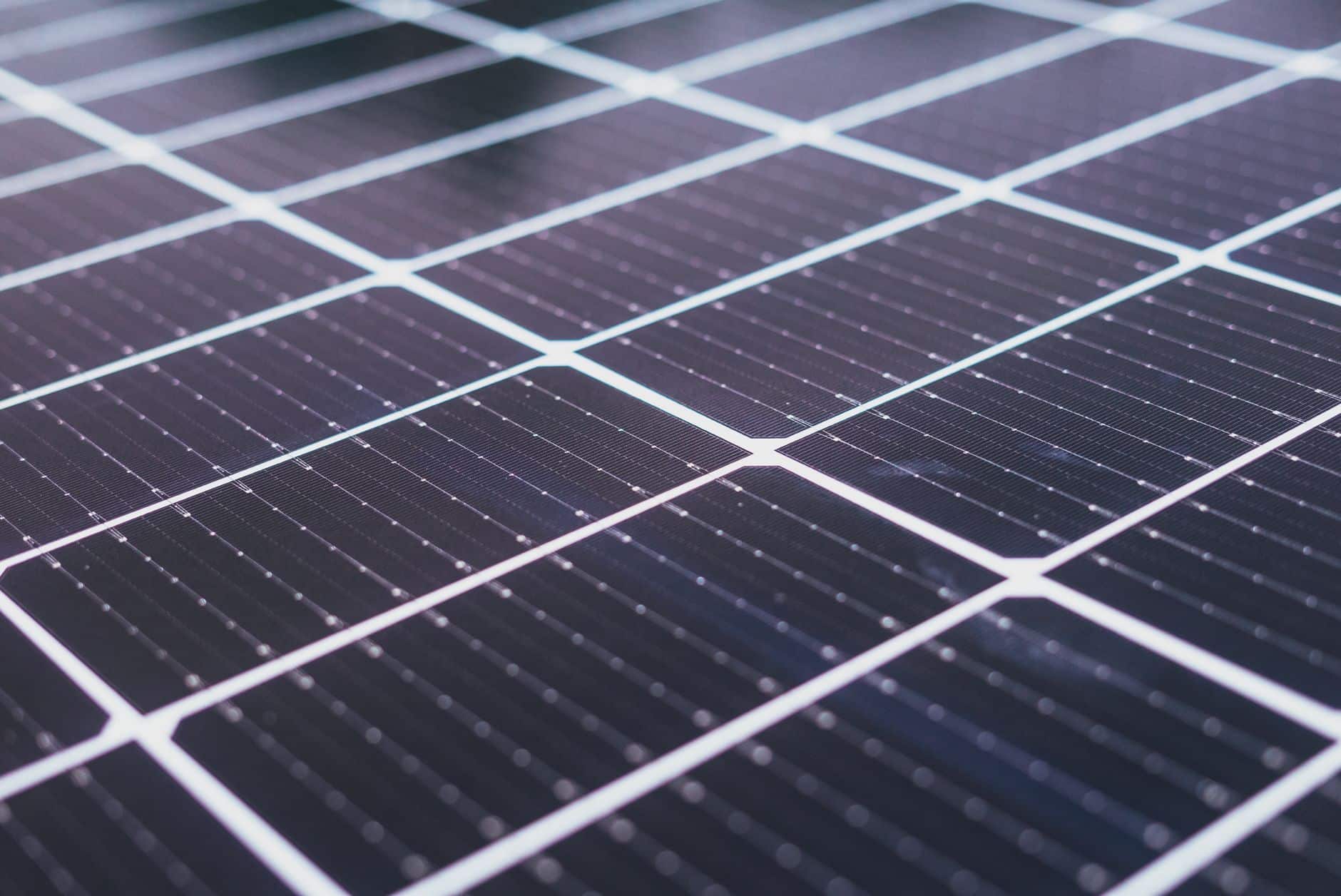 perovskite solar cell