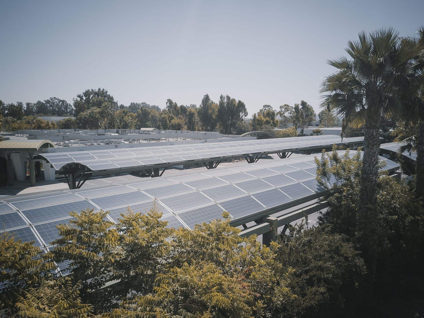 Modern solar panel farm surrounded by trees under a clear blue sky