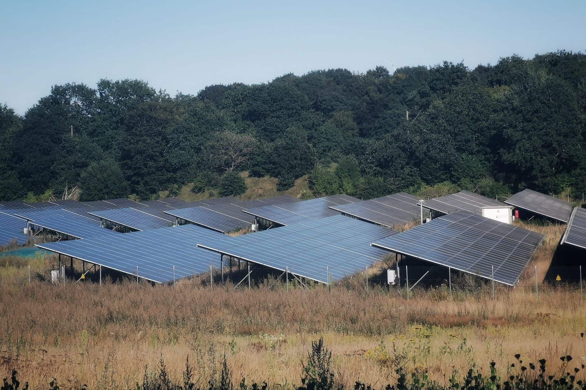 Wide view of solar panels in an open field under a clear sky