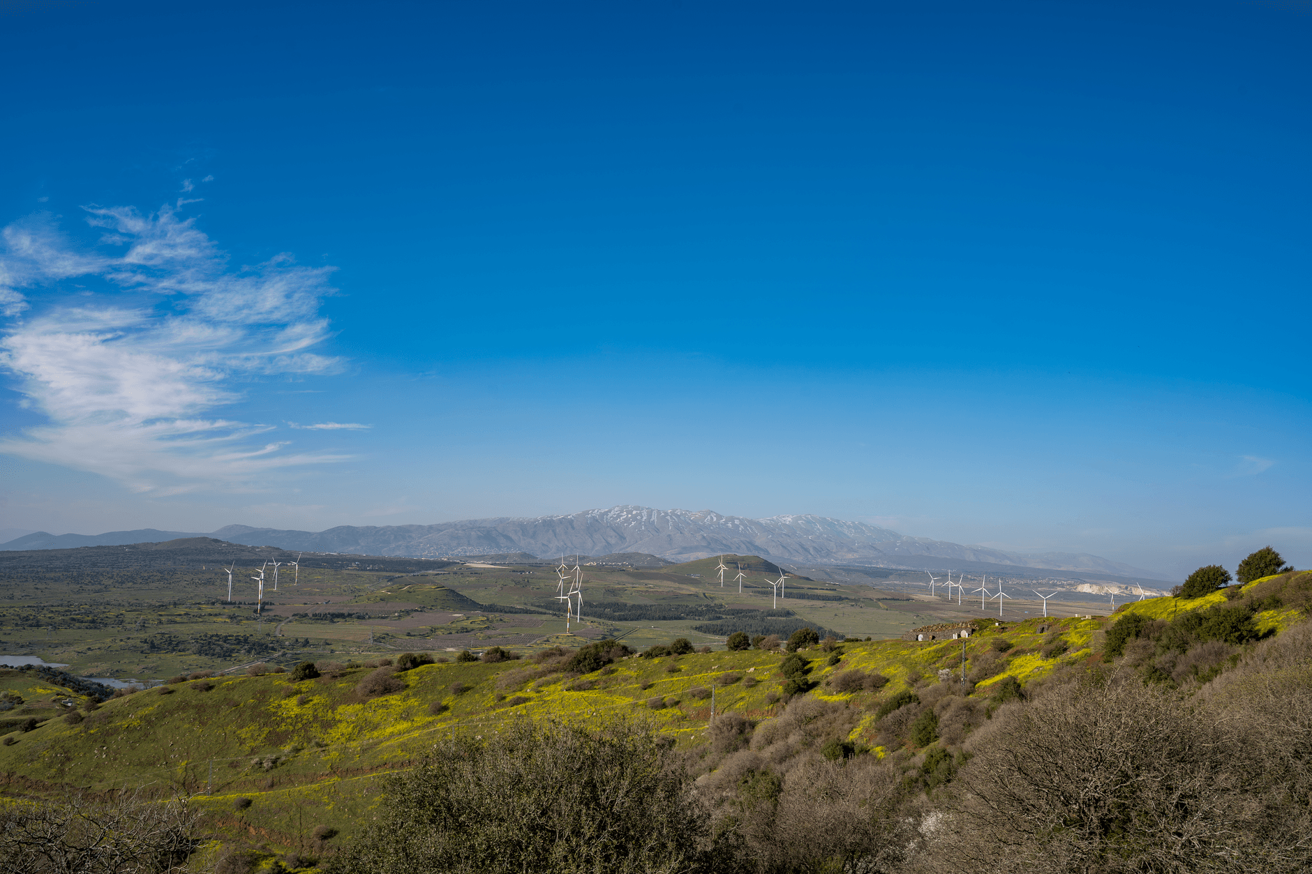 solar farm