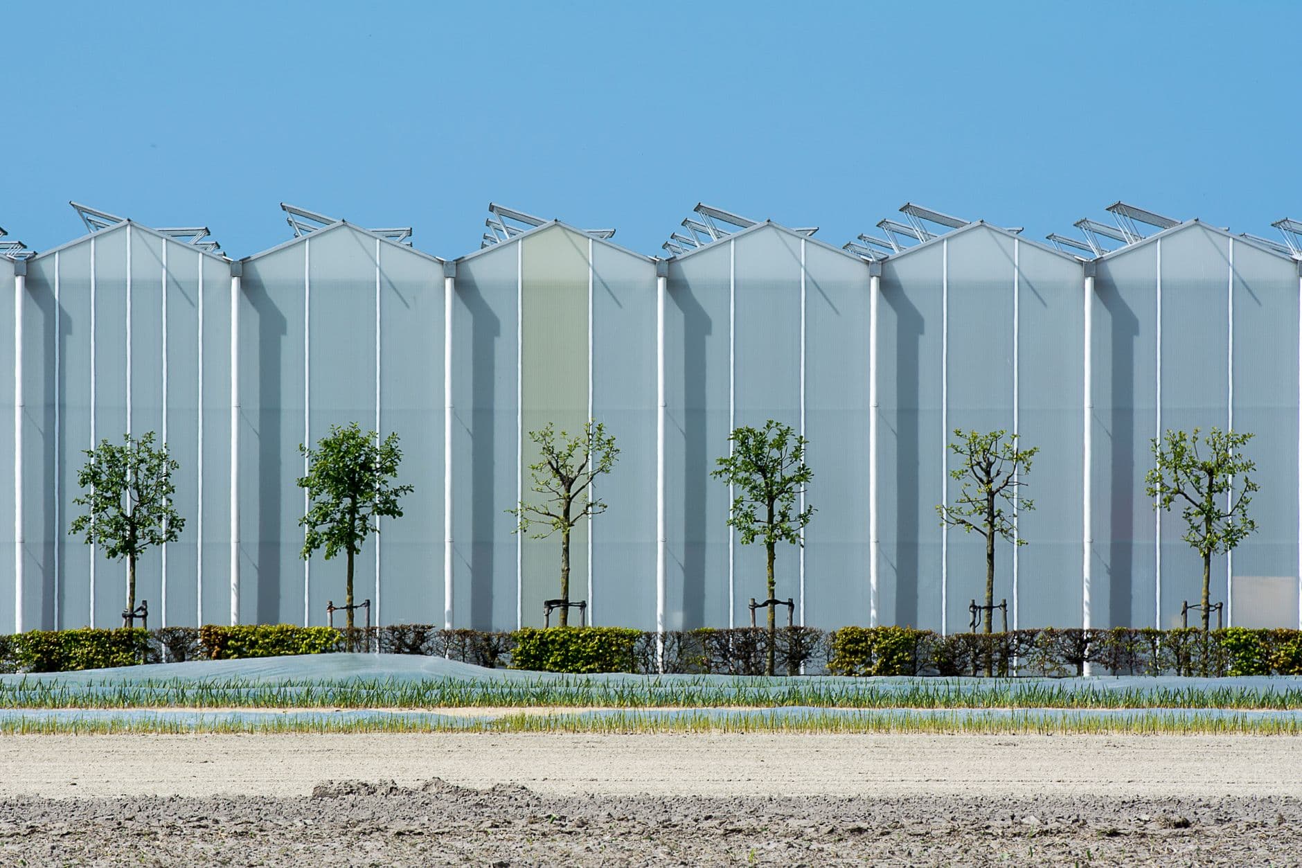 agrivoltaic cold frame