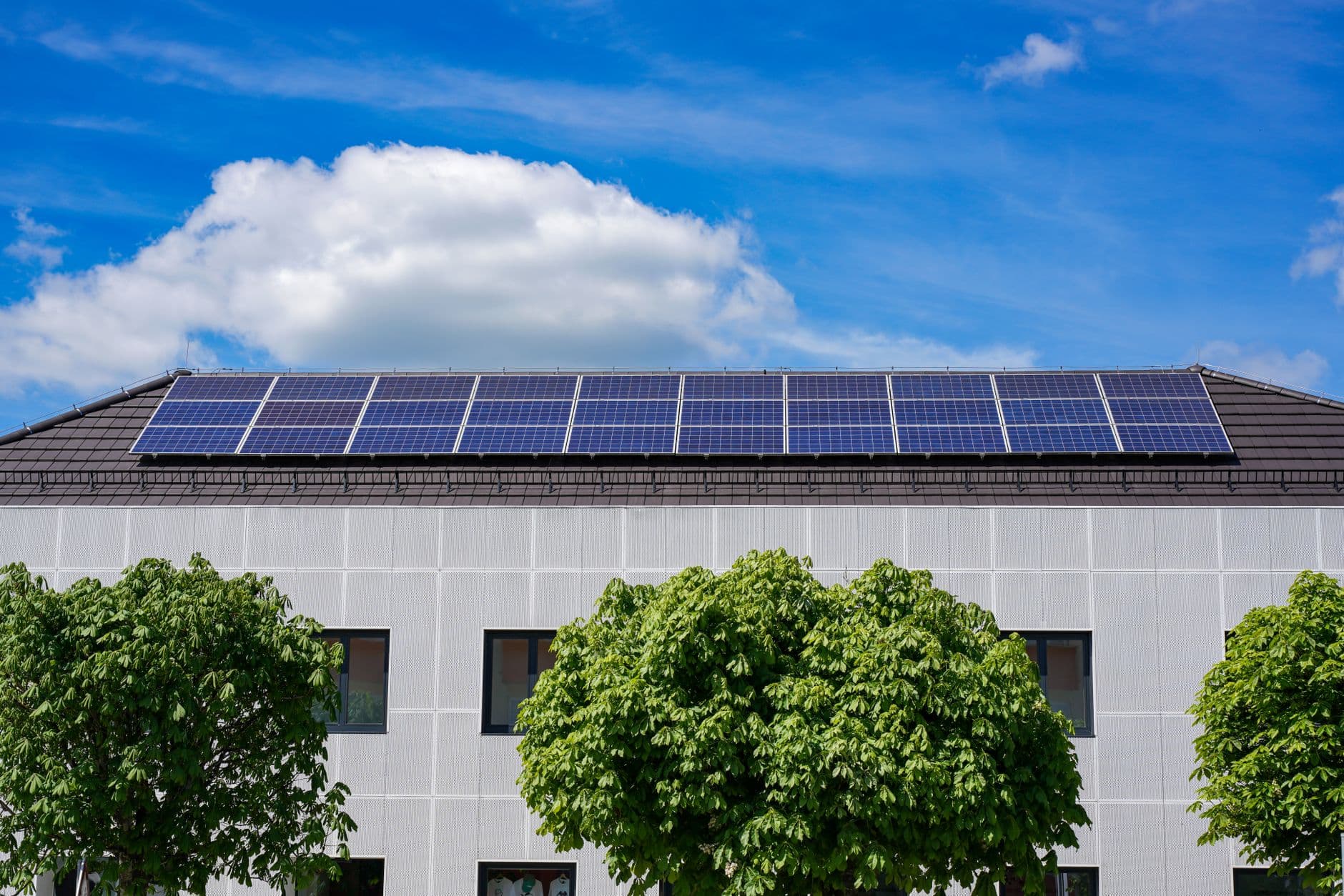 Energy‑efficient building with rooftop solar panels surrounded by lush trees
