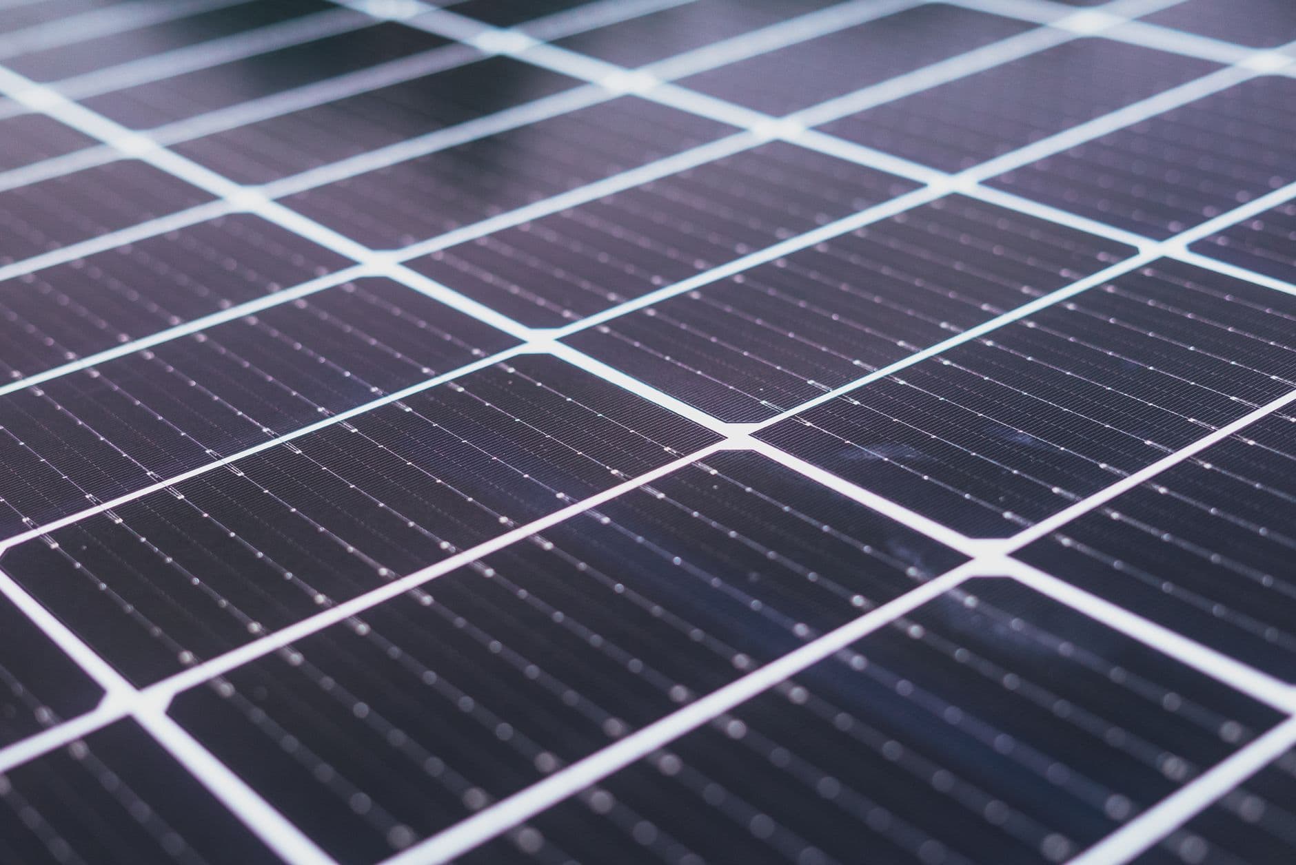 perovskite solar cell