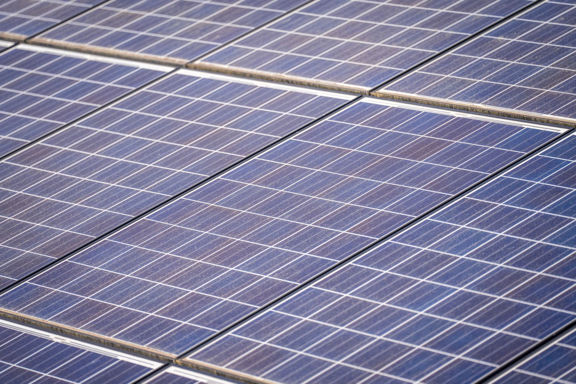 Close-up view of solar panels in a solar farm under bright sky