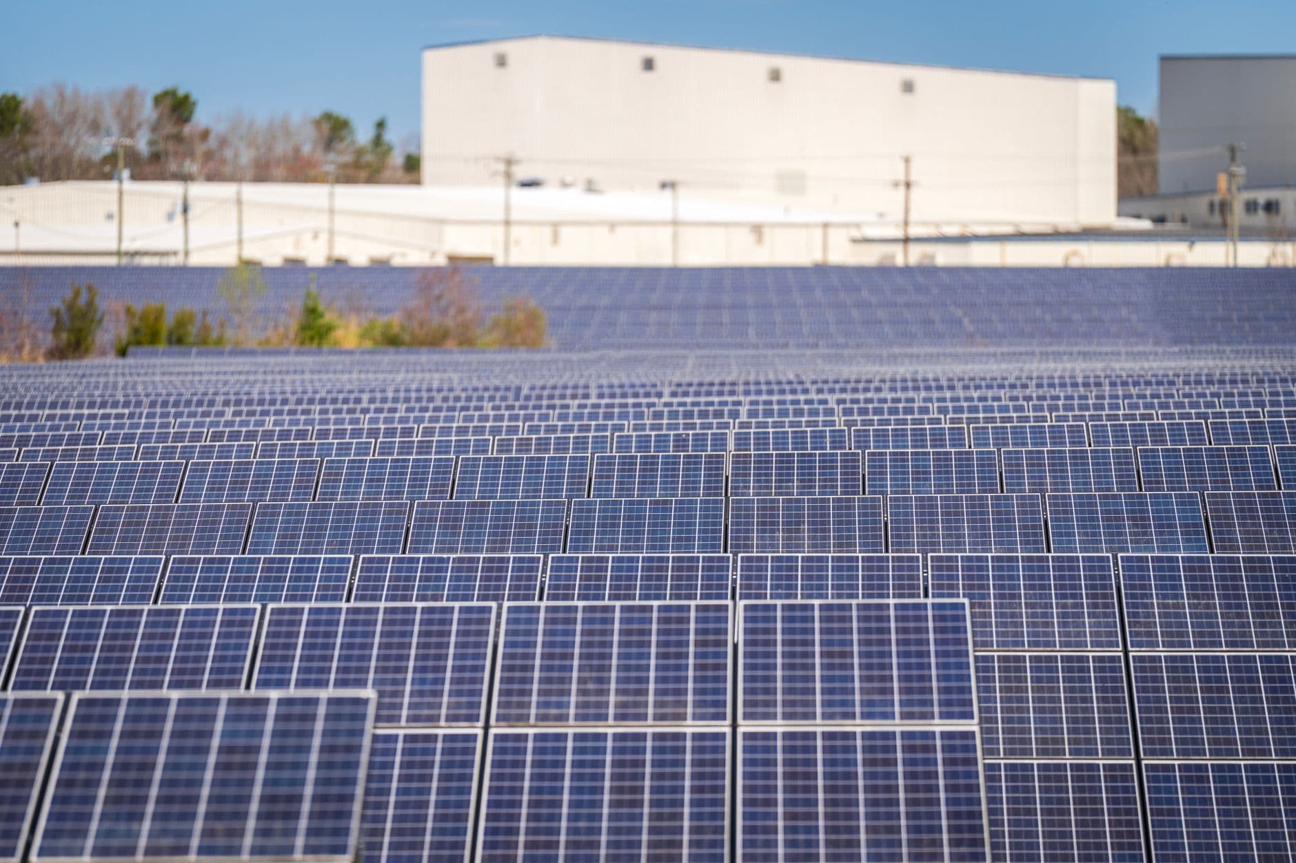 A large solar farm with photovoltaic panels generating renewable energy outdoors