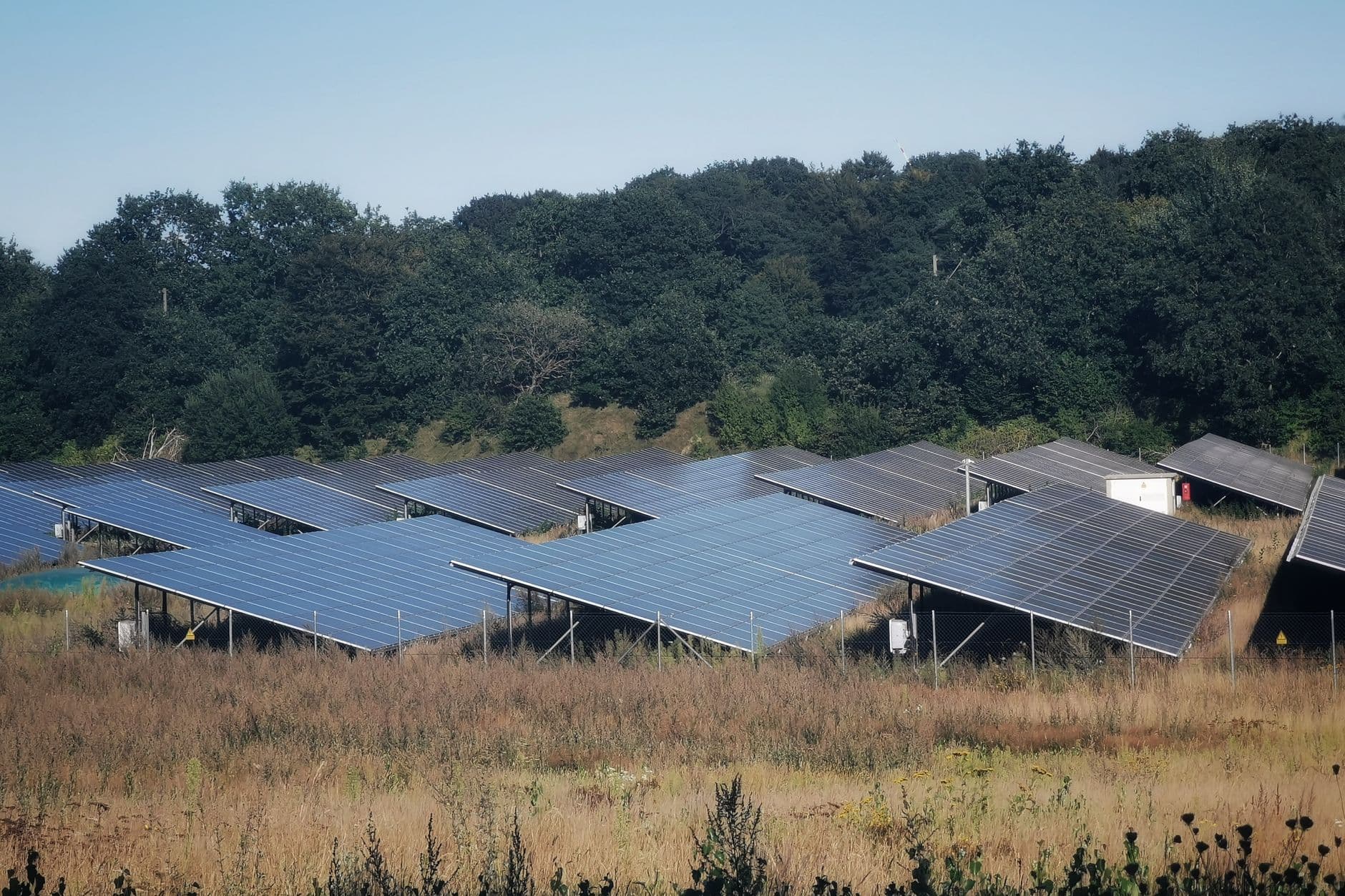 Wide view of solar panels in an open field under a clear sky
