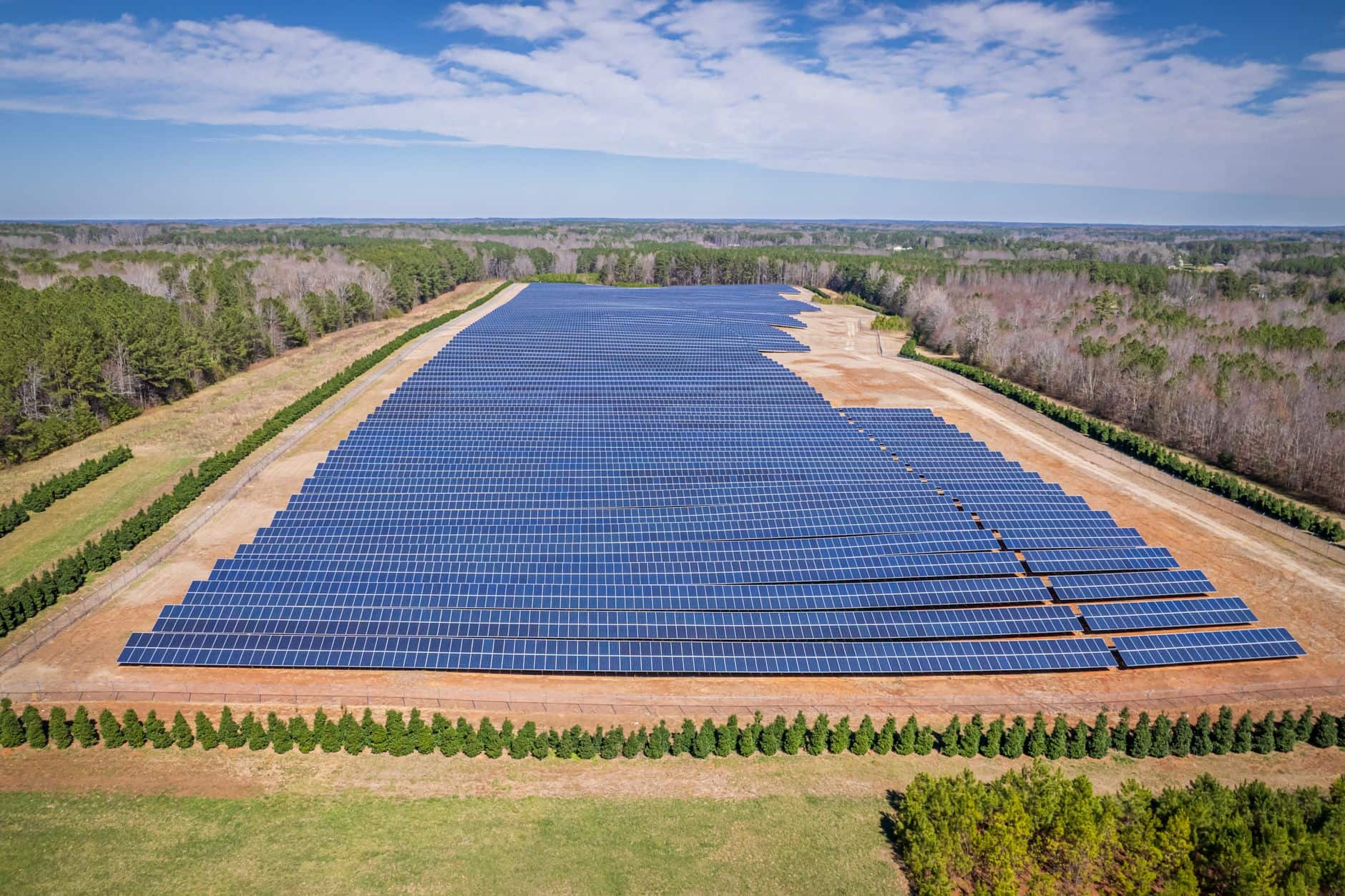 Large solar farm with rows of solar panels surrounded by forest