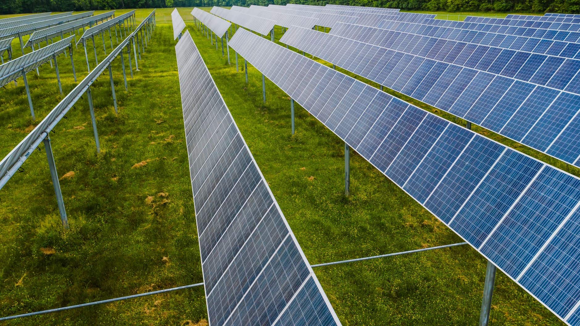 Blue solar panels spread across a green field in a solar farm
