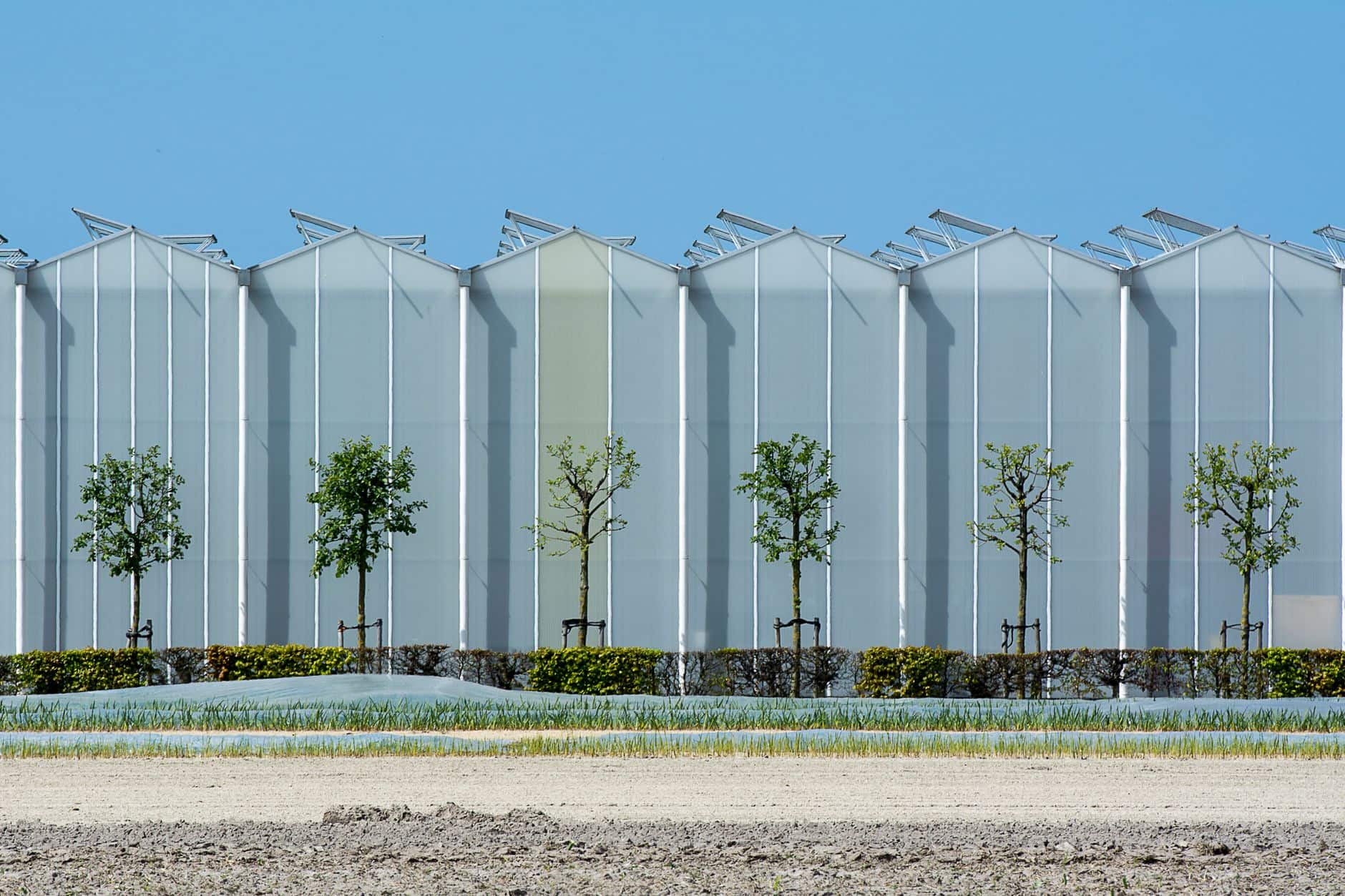 agrivoltaic cold frame