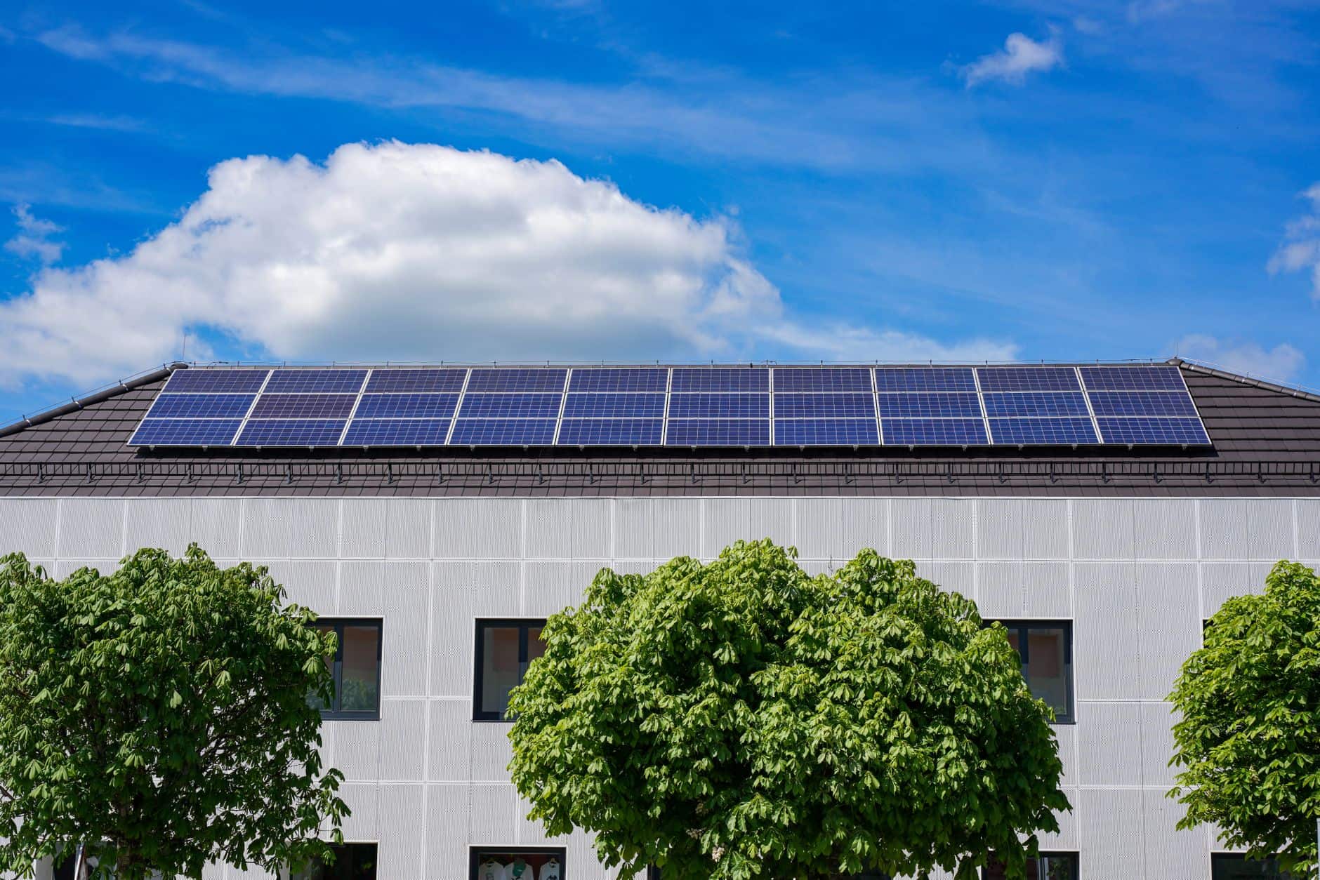 Energy‑efficient building with rooftop solar panels surrounded by lush trees