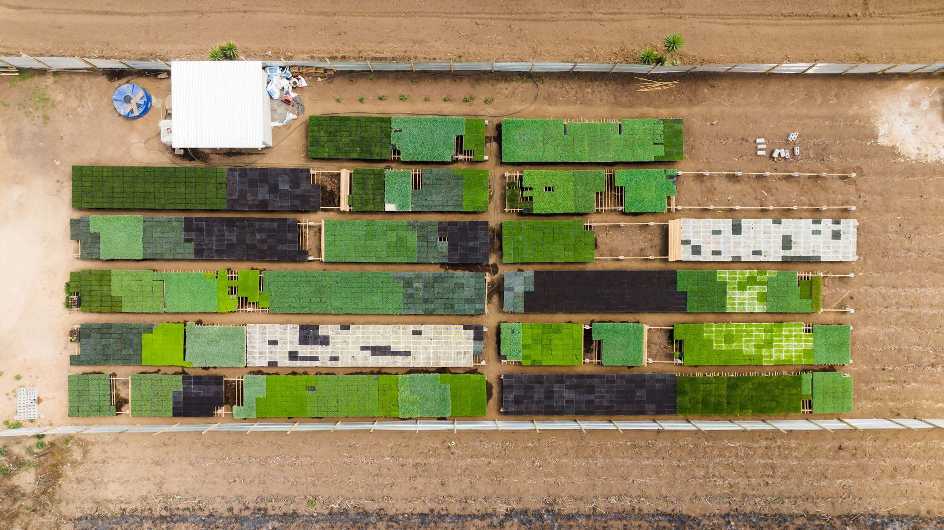 Top-down view of organized green agricultural plots and structures
