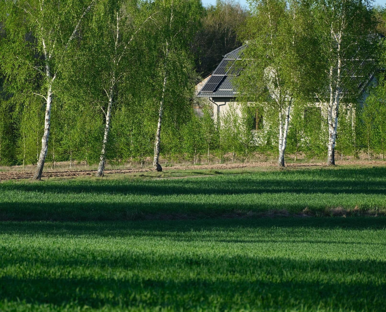 Sustainable home with solar panels surrounded by green trees and grass