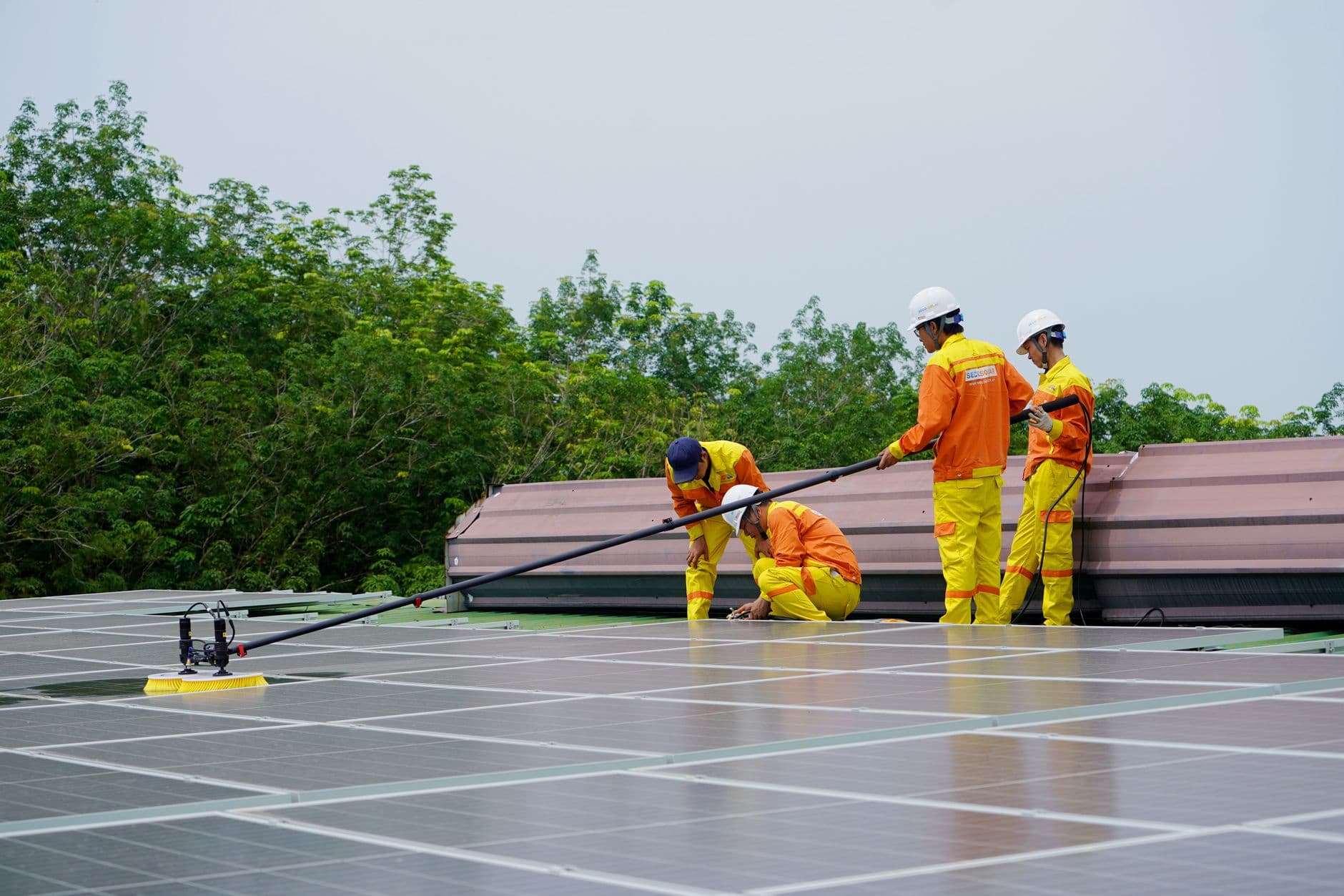 Workers cleaning solar panels on a sunny rooftop