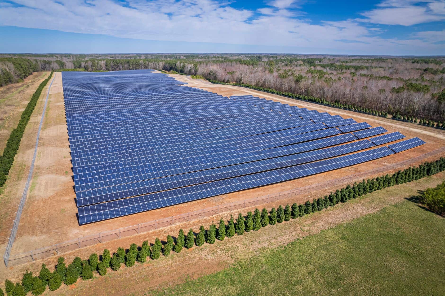 Aerial view of a sunlit solar farm surrounded by trees